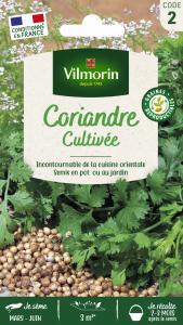 Coriandre cultivée